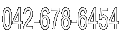 042-678-6454